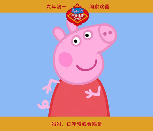 制作昆士兰驾驶执照